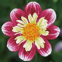 Diamond Painting Kit: Daisy a Day