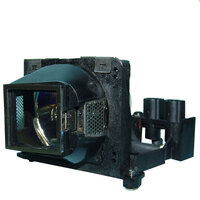 LIESEGANG DDV 2100 Projector Lamp Module (Original Bulb Inside)
