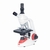 Educational microscopes RED 131 Type RED 131