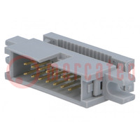 Plug; IDC; male; PIN: 14; with holder; IDC; for ribbon cable; 1.27mm
