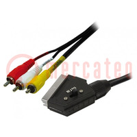Cable; RCA plug x3,SCART plug; 2m; black