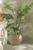 Palmenpflanze Amara; 150 cm (H); grün/braun