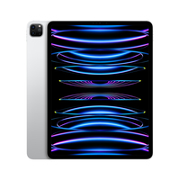 Apple iPad Pro Apple M 256 GB 32,8 cm (12.9") 8 GB Wi-Fi 6E (802.11ax) iPadOS 16 Zilver