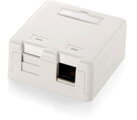 Equip 2-Port Keystone Jack Surface Mount Box