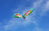 Paul Günther Flamingo Single line kite