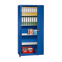 Armoire à portes battantes en tôle d'acier