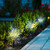 Relaxdays Solarlampen Set, Laternen-Optik, LED Gartenleuchten, H x D: 42,5 x 10 cm, mit Erdspieß, schwarz/transparent