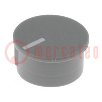 Cap; thermoplastic; push-in; Pointer: white; grey