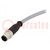 Plug; M12; PIN: 12; male; A code-DeviceNet / CANopen; 1m; straight