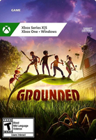 Microsoft Grounded Standard