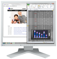 EIZO S1934H computer monitor 48,3 cm (19") 1280 x 1024 Pixels SXGA LED Grijs