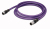 Wago 756-1405/060-020 câble de signal 2 m Noir, Violet