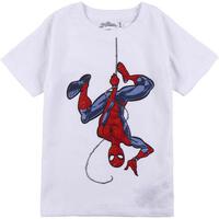 CAMISETA CORTA SINGLE JERSEY SPIDERMAN