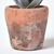 Aloe Vera Succulent, in Decorative Rustic Terracotta Pot, 210 mm