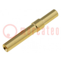 Contact; female; gold-plated; 0.25÷0.52mm2; 24AWG÷20AWG; crimped