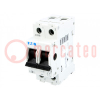 Switch-disconnector; Poles: 2; for DIN rail mounting; 32A; 240VAC