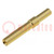 Contact; female; gold-plated; 0.25÷0.52mm2; 24AWG÷20AWG; crimped