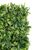 Artificial Lush Green Leaf Wall Panel - 100cm x 50cm, Green (Ferns)