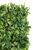 Artificial Lush Green Leaf Wall Panel - 100cm x 50cm, Green