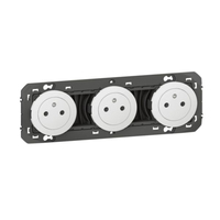 Legrand 600333 placa de pared y cubierta de interruptor