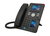 Avaya J159 telefono IP Nero LED Wi-Fi