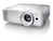 Optoma HD29He beamer/projector Projector met normale projectieafstand 3600 ANSI lumens DLP 1080p (1920x1080) 3D Wit