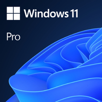 Windows 11 Pro OEM - Original Equipment Manufacturer (OEM) - 1 license(s) - 64 G