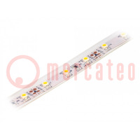 LED strips; warm wit; 3528; 12V; LED/m: 60; 10mm; IP65; 120°; 4,8W/m