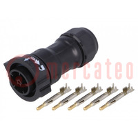 Connector: circular; plug; for cable; PIN: 5; male; with contacts