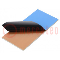 Laminate; FR4,epoxy resin; 1.6mm; L: 50mm; W: 100mm; double sided