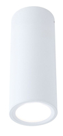 Paulmann Barrel éclairage de plafond LED 6 W G