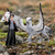 schleich Harry Potter ™ & Hedwig™ - 42633