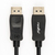 Rocstor Y10C237-B1 DisplayPort cable 4 m Black