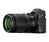 Nikon Z 5 MILC 24,3 MP CMOS 6016 x 4016 Pixeles Negro