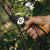 Fiskars Solid L P361 pruning shears Anvil Black, Orange