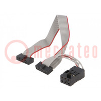 Connection cable; ribbon cable
