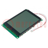 Display: LCD; grafisch; 320x240; FSTN Positive; 160x109x13mm; LED