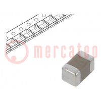 Condensateur: céramique; MLCC; 1uF; 6,3V; X5R; ±20%; SMD; 0201