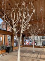 Artificial Bespoke Fabricated Bare Branch Birch Tree - 500cm, Natural