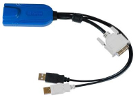 Raritan Digital DVI-D, USB CIM toetsenbord-video-muis (kvm) kabel Meerkleurig, Zwart 0,3 m