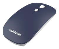 Pantone PT-KB09MN souris Maison RF sans fil Optique