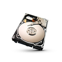Promise Technology F29VA2S20000009 internal hard drive 3.5" 2 TB Serial ATA II