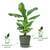 elho 8711904332273 jardinière Blanc Plastique