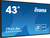 iiyama LE4341S-B1 Signage Display Digital signage flat panel 108 cm (42.5") LCD 350 cd/m² Full HD Black 18/7