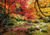 Clementoni Autumn Park Puzzle 1500 pz Fauna