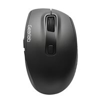G305 Wireless/Bluetooth Dual mouse Mäuse