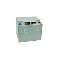 Batterie(s) Batterie plomb AGM 12FGL42 12V 42Ah M6-F