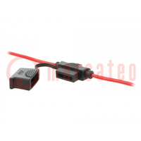 Portafusibles; 19mm; 30A; para conducto; Sal: cables; Mat: PVC; IP66
