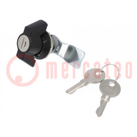 Lock; Kind of insert bolt: 1333