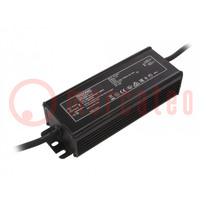 Alimentation: à impulsions; LED; 100W; 29÷75VDC; 1050mA; IP67; LCO